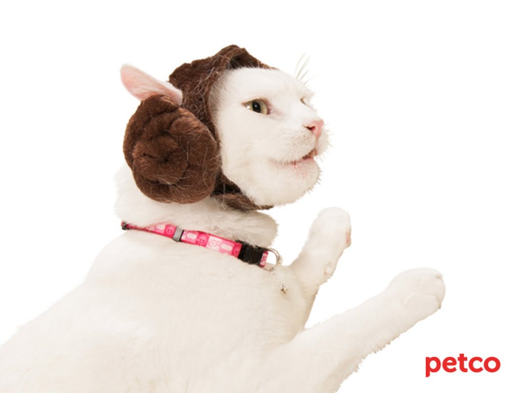 PetCo Gets Star Wars Toy License, Too Galactic Hunter