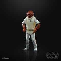 STAR WARS: THE Reveals